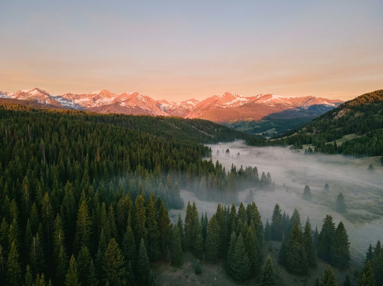 First light on a Colorado forest ridge